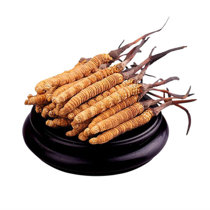 Premium Wild Cordyceps Sinensis  5g Secondary image