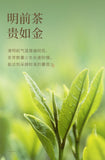 Mao Feng High Mountain Early Spring Green Tea 60g Premium 2025 New Tea