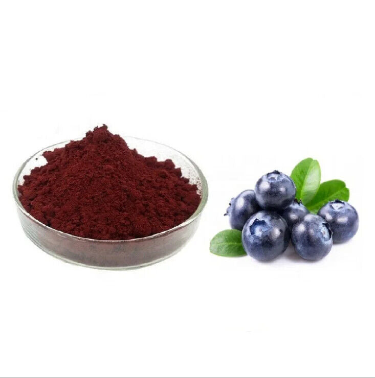 Blueberry Fruit Powder - 100% Pure Blueberry Juice Concentrate Powder