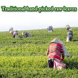 Jin Xuan Milk Oolong Tea Premium High Mountain Loose Leaf Natural Creamy Aroma