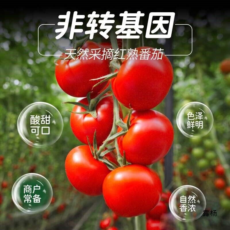 Tomato Ketchup Small Pack Commercial Bulk Burger Fries Dipping Sauce