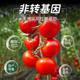 Tomato Ketchup Small Pack Commercial Bulk Burger Fries Dipping Sauce