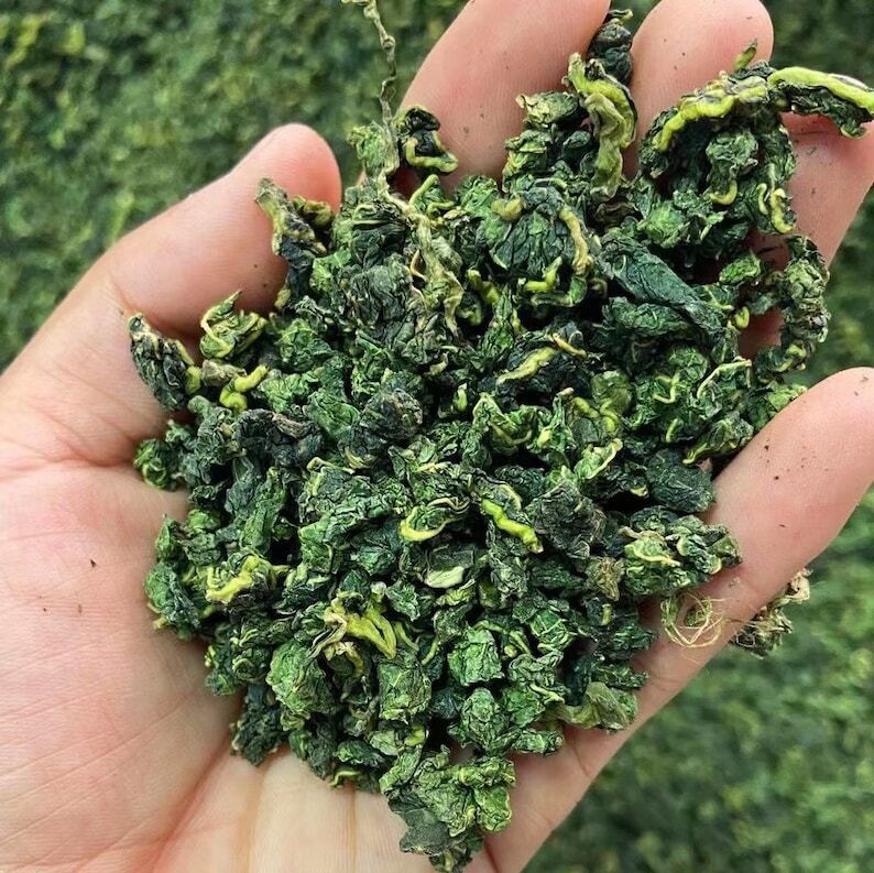 500g Organic Dried Mulberry Leaf Tea , Folium Mori Leaf Tea Main image