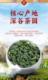 Good Tea Tieguanyin Oolong Tea Brand New Tea Small Fat Jar 50g