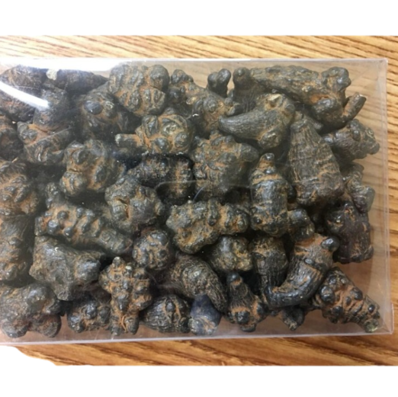 Black Radix Pseudoginseng 黑田七頭500g , good quality and price Main image