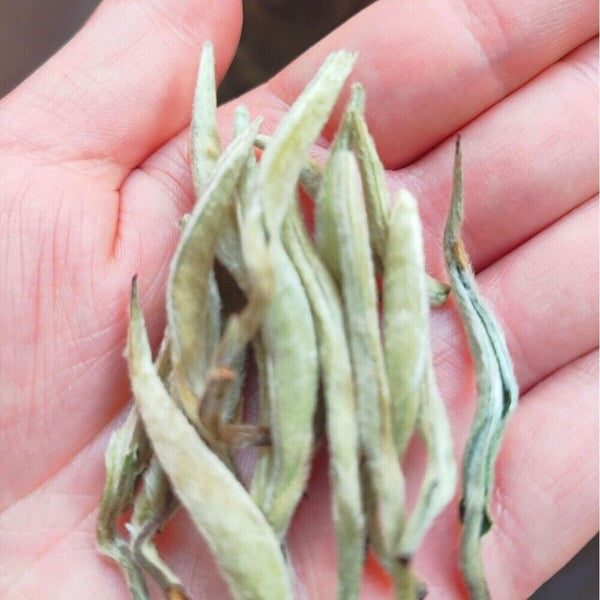 2024 Yunnan Baiya Ancient Tree Tea Spring Premium Floral Aroma Loose Leaf