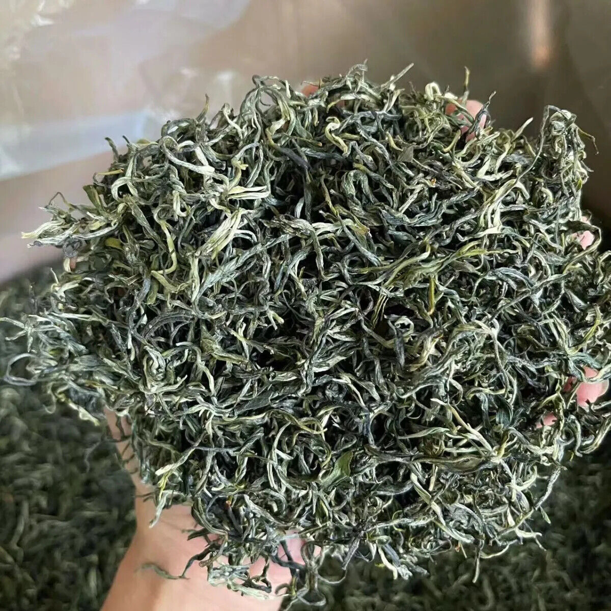 Xinyang Maojian Natural Fresh Green Tea Mao Jian Lossing Weight