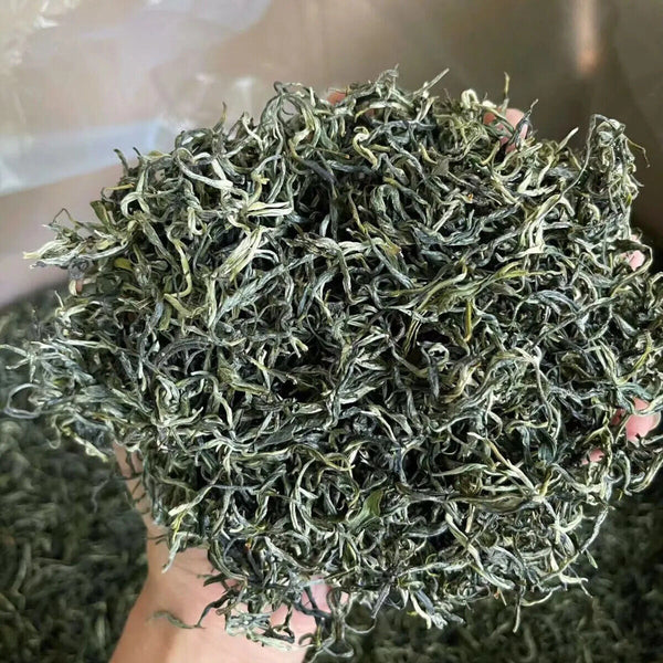Xinyang Maojian Natural Fresh Green Tea Mao Jian Lossing Weight