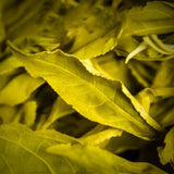 Premium Yunnan Biluochun Top Grade Spring Tea Rich Aroma Loose Leaf