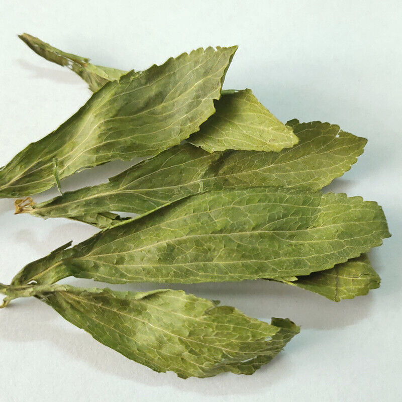 Wholesale supply of stevia/stevia leaf bulk goods wholesale 17.6oz