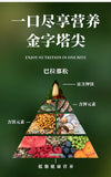 Premium Authentic Parana Pine Nuts Natural High Quality For Sale On Ebay