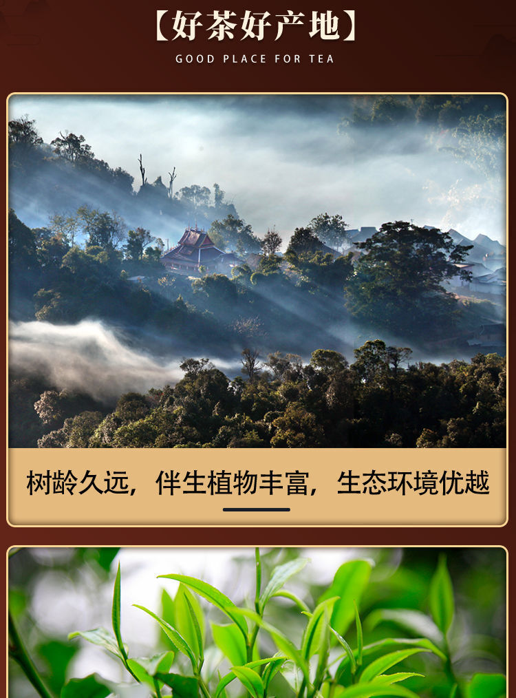 Yunnan Jingmai Lan Zhi Puerh Tea 200g Raw Puerh Tea