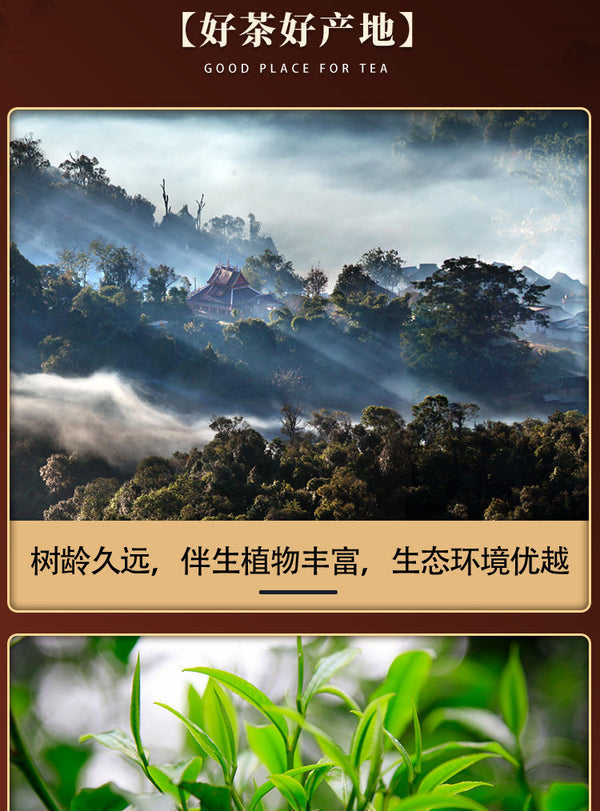 Yunnan Jingmai Lan Zhi Puerh Tea 200g Raw Puerh Tea