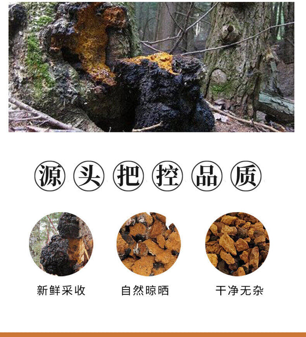 Premium Chaga Mushroom Tea: Natural, Unsulphured, Wellness Drink