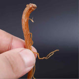 8.8oz Dried Panax Red Ginseng End Root Dried Herbs Tea Health, Red Ginseng
