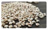 500g Job's Tears Guizhou Job's Tears bulk new powdered Job's Tears flower tea