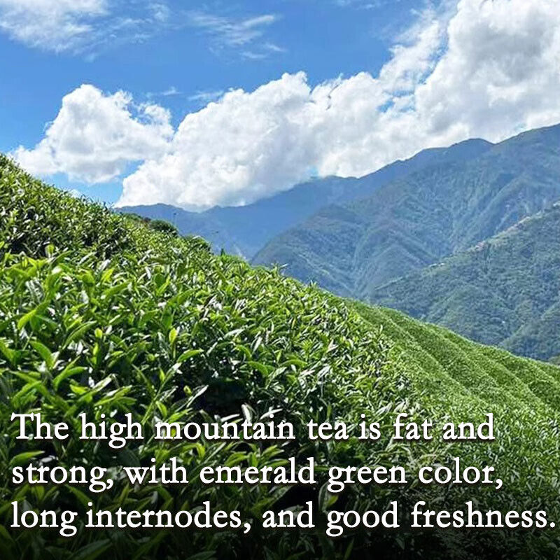 Oolong Tea from Taiwan Organically Grown Jin Xuan Creamy Nutty Taste Aroma 250g