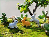 Moss Micro Landscape Deco Garden Mini 3pcs Rabbit Bottle Decoration Supplies