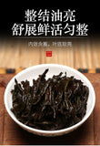 Da Hong Pao Qi Dan Tea2025 Spring Wuyi Mountain Oolong Tea Rich Aroma Loose Leaf