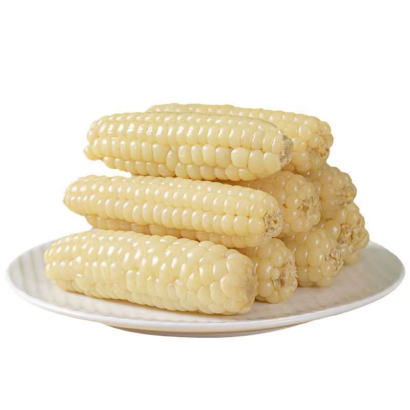 Xishuangbanna Sweet Sticky Corn – Wholesale Vacuum Pack Main image