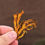 Organic Dried Coptis chinensis, Chinese Goldthread, Goldthread, Huang Lian