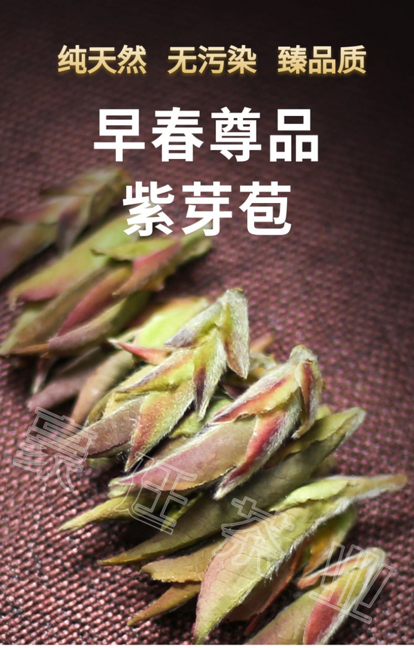 Yunnan Pu'er Tea Purple Buds Early Spring New Tea MingQian Spring Tea Nectar Tea