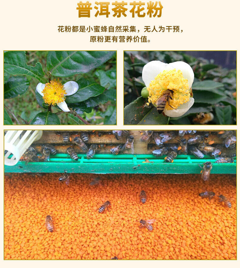 Source granulaire sélectionnée Pu'er Spring Tea Pollen Spécialité du sol 200g