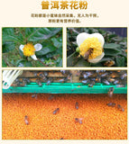 Source granulaire sélectionnée Pu'er Spring Tea Pollen Spécialité du sol 200g