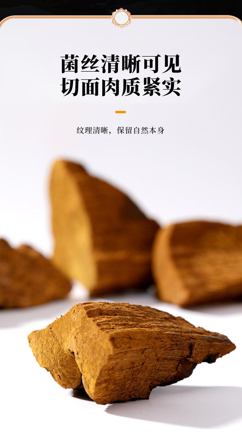 Natural Sanghuang Phellinus Linteus Chinese Herbal Tea Health Tea 50g