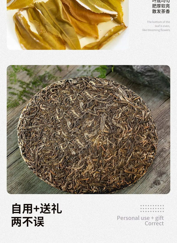 Yunnan Xigui Ancient Tree Puerh Tea Spring Tea 357g