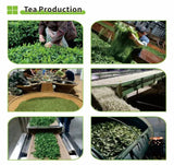 100% Natural Dried Herbal Tea Jiaogulan Loose Tea Fiveleaf Gynostemma Tea