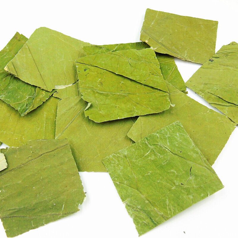 lotus leaf flakes lotus leaf shreds lotus leaf granules lotus leaf tea 17.6oz