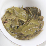 500g Pu-erh Raw Tea Loose Tea 凤凰山古茶园头春凤凰窝散普