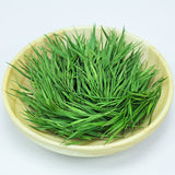 Herbal Tea Fresh Green Tea Herbal Blend Common Lophatherum Herb Bamboo Leaf Tea