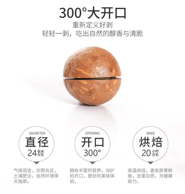 Macadamia Nuts Snacks Creamy Flavor Casual Dried Fruits