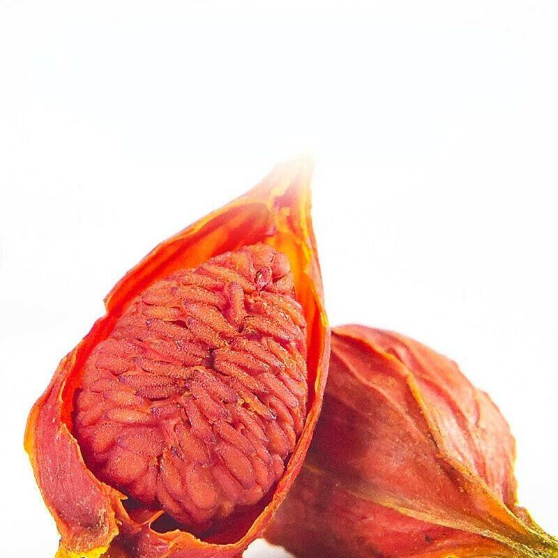 CIFbuy 100%Natural Cape Jasmine Fruit Gardenia Zhi Zi Chinese Specialty Herbs Particles