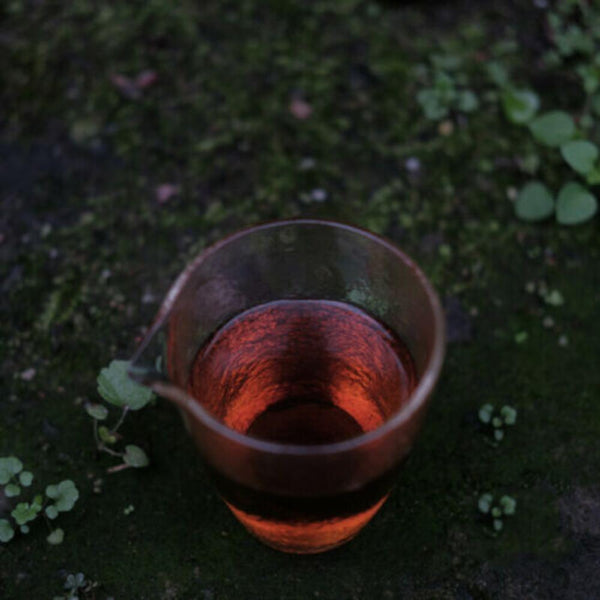 CIFbuy Premium Ya An Dark Tea Brick 500g Old Tree Handmade Chinese Hei Cha