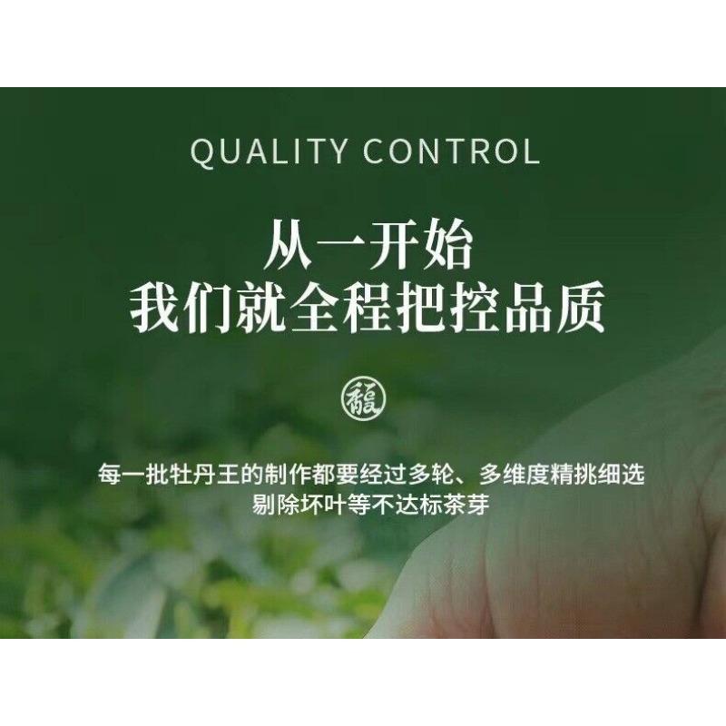 CIFbuy 300g Fuding White Tea White Peony Tribute Eyebrow Shoumei Flower Fragrance