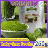 Organic Barley Grass Powder original 250g barley grass official store pure organic barley Gluten-Free Soy-Free Vegan & Paleo – Daily Greens Booster