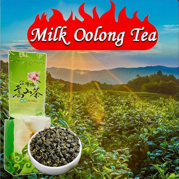 CIFbuy HelloYoung Organic High Mountain Fujian Taiwan Alishan Oolong Tea Tieguanyin Oolong Loose Leaf Leaves China Milk Oolong Tea Strong aroma resistant