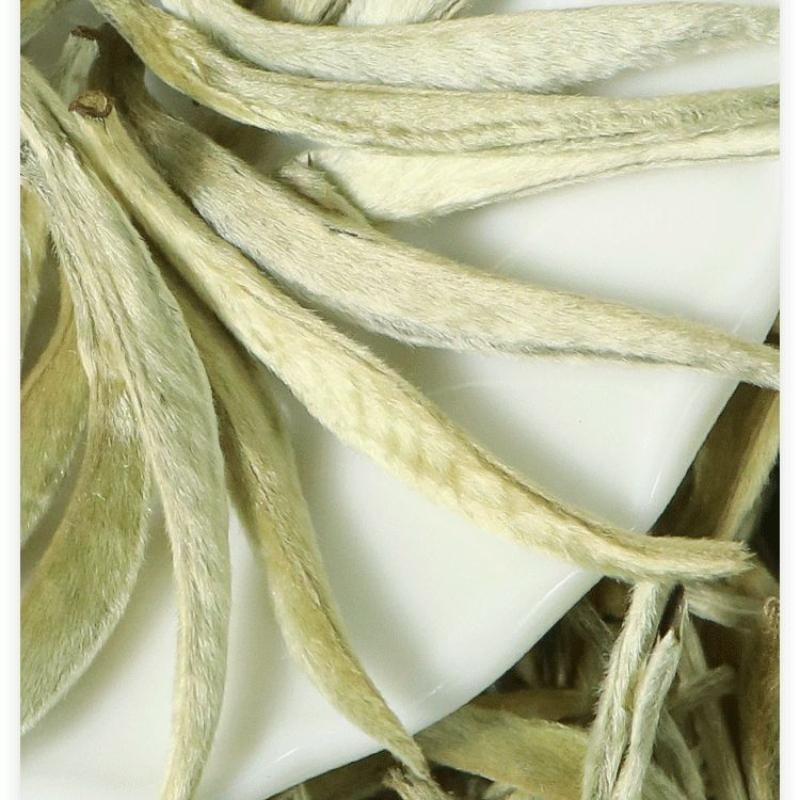 CIFbuy White Hair Silver Needle Premium White Tea Moonlight White Tea Ancient Trees125g