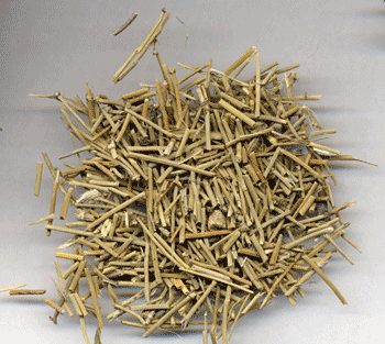 Somlata - Soma - Ephedra gerardiana - Som Lata - Somlata Pnachang - Somlaha 500Grm Secondary image