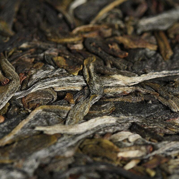 CIFbuy 357g Xigui Old Tree Tea Cake Bright Front Spring Tea Yunnan Puerh Tea