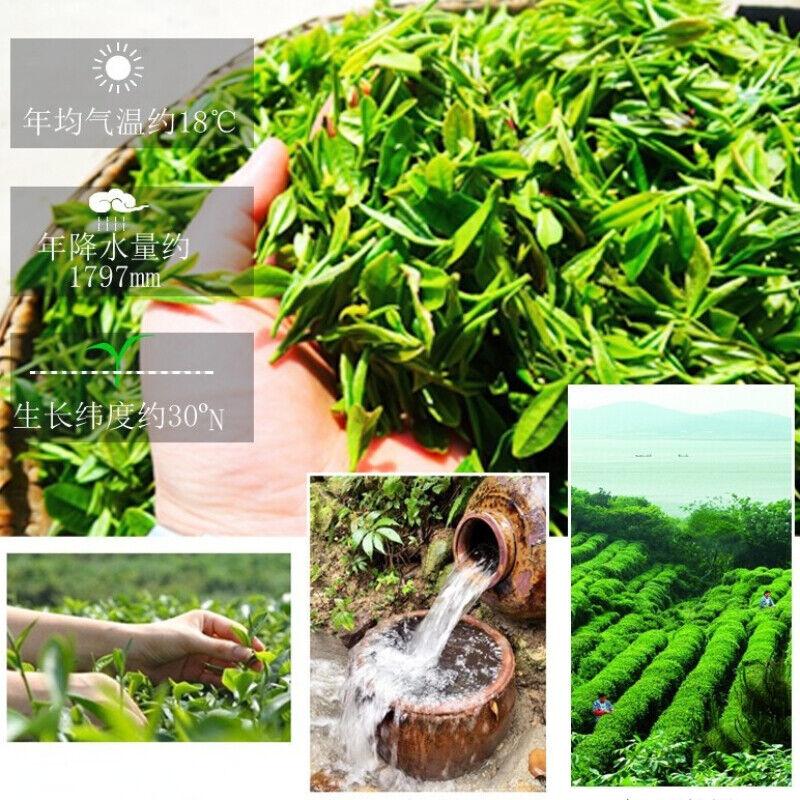 CIFbuy 250g High Quality Biluochun Green Tea Chinese Gift Tea Ecology Tea Health Care