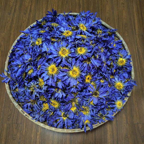 CIFbuy 2023 New Blue Lotus Flower Tea, Fresh Egyptian Blue Water Lilies, Dried Blue Lotus Flowers, 50g