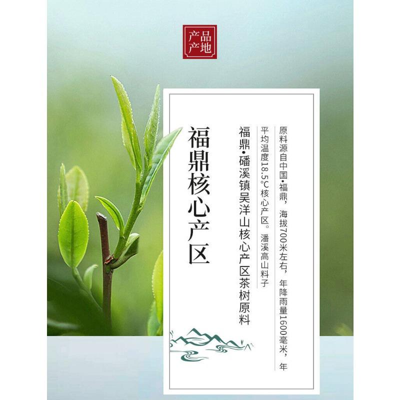 CIFbuy 350g Fuding White Tea Panxi Gongmei Shoumei Gaoshan Sunshine Old White Tea Cake