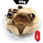 CIFbuy 2023 XinHui "Chen Pi" Green Tea with Tangerine Peel, 50g
2023新会陈皮绿茶，50克