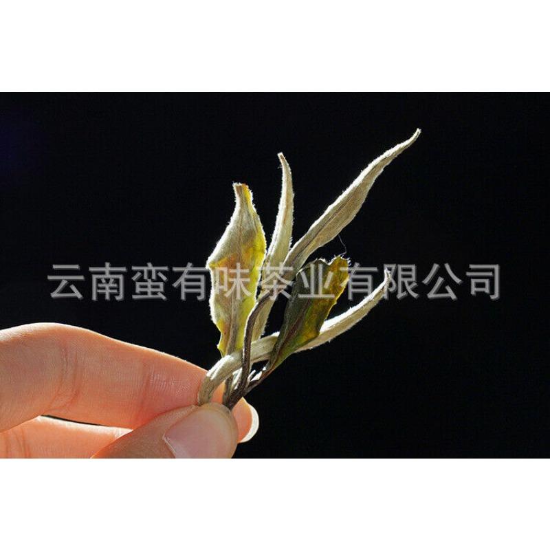 CIFbuy 500g Yunnan Jinggu Yangta Ancient Tree White Tea One Bud One Leaf Scattered Tea