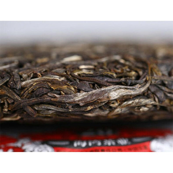 CIFbuy Haiwan High Mountain Ancient Tree 2019 Old Comrade Batch 191 Raw Puer Tea 500g