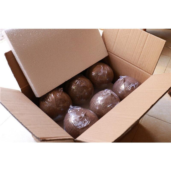 CIFbuy High Quality Yunnan Menghai Pu'er Ripe Tea Pu'er 200g Healthy Drink